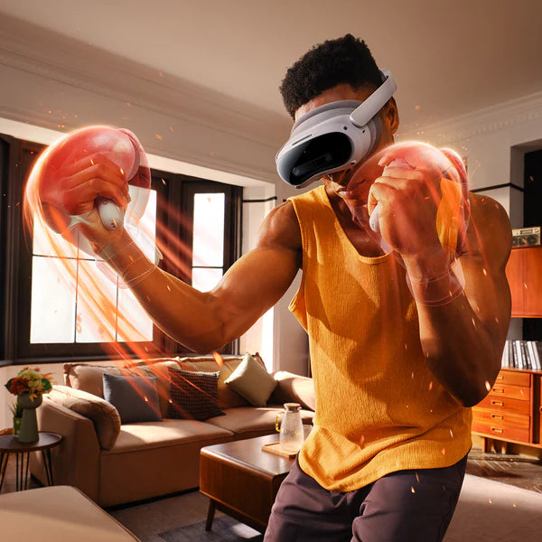 PICO 4 Ultra (256GB)